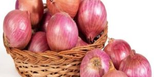 Fresh Red Onion