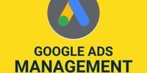 Google Ads Management Services
