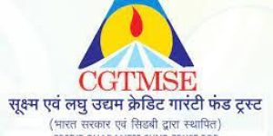 Cgtmse Unsecured Loan