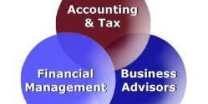 Financial Management Services