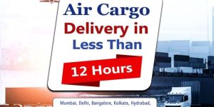 Domestic Freight Services