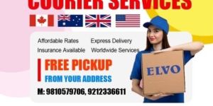 International Courier Services