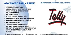 Tally Training Services