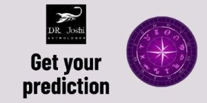Job Astrology Service