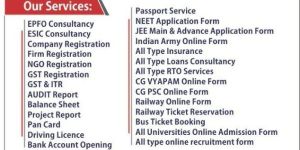 ESIC Consultant Service