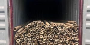 Treated Bamboo Pole 19ft