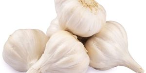 Fresh White Garlic