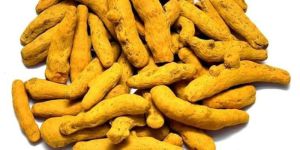 Finger Turmeric