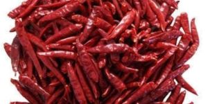 Red Chilli