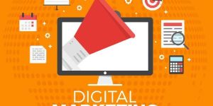 Website Development Services