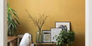 interior & exterior paint