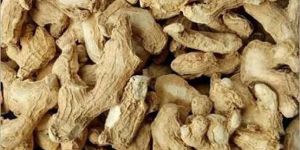 Dry Ginger