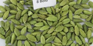 Green Cardamom