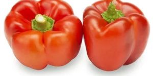 a Grade Red Capsicum