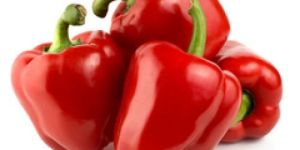 Organic Red Capsicum