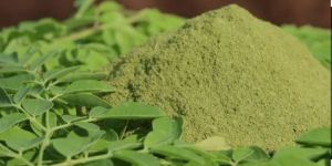 Organic Moringa Powder