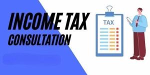 Online Income Tax Consultants Service