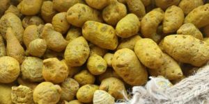 Turmeric