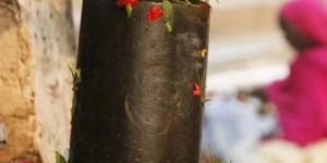 Shiv Maha Puran Puja Service