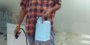 Bed Bug Pest Control Services