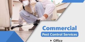 Organic Pest Control Service