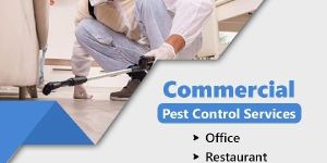 Pest Control Services