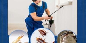 Termite Pest Control Service
