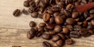 Robusta Coffee