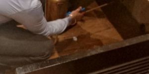 Pest Control Services