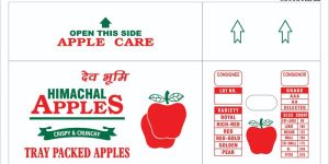 Corrugated Apple Boxes