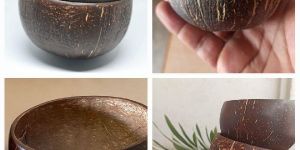 Coconut Shell Bowl