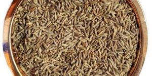 Dried Cumin Seeds