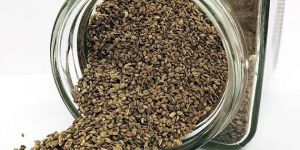 High Quality Carom Seeds