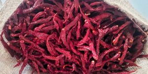 Syngenta 5531 Dry Red Chilli