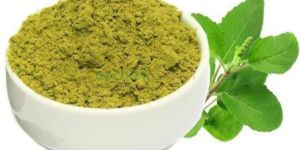 Tulsi Powder