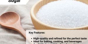 Khansari Sugar L31-M31-S31 Grade