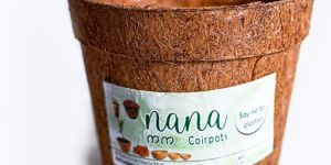 Nana 4 Inch Coirpot