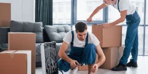 Office Shifting