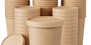 Plain Food Paper Container