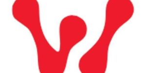 Web Maintenance Services