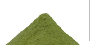 Moringa Powder