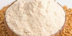 Wheat Flour