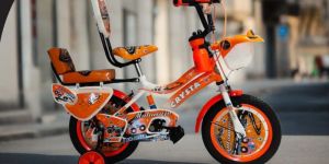 Maharaja Crysta Childrens Bicycle