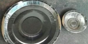 Disposable Paper Plates