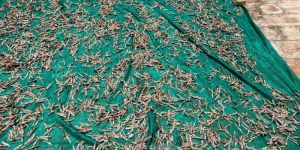 Dried Anchovies Fish