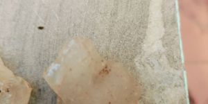 Astrological Gems Stones