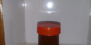 Mountain Honey (Nilgiris Mountain)