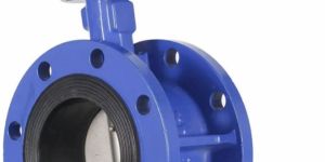 Double Flange Butterfly Valve
