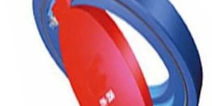 Industrial Check Valve