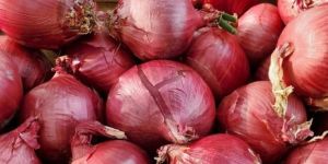 Red Onion